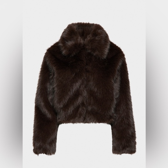 Aritzia Ten The Odette Coat - Picture 3 of 5